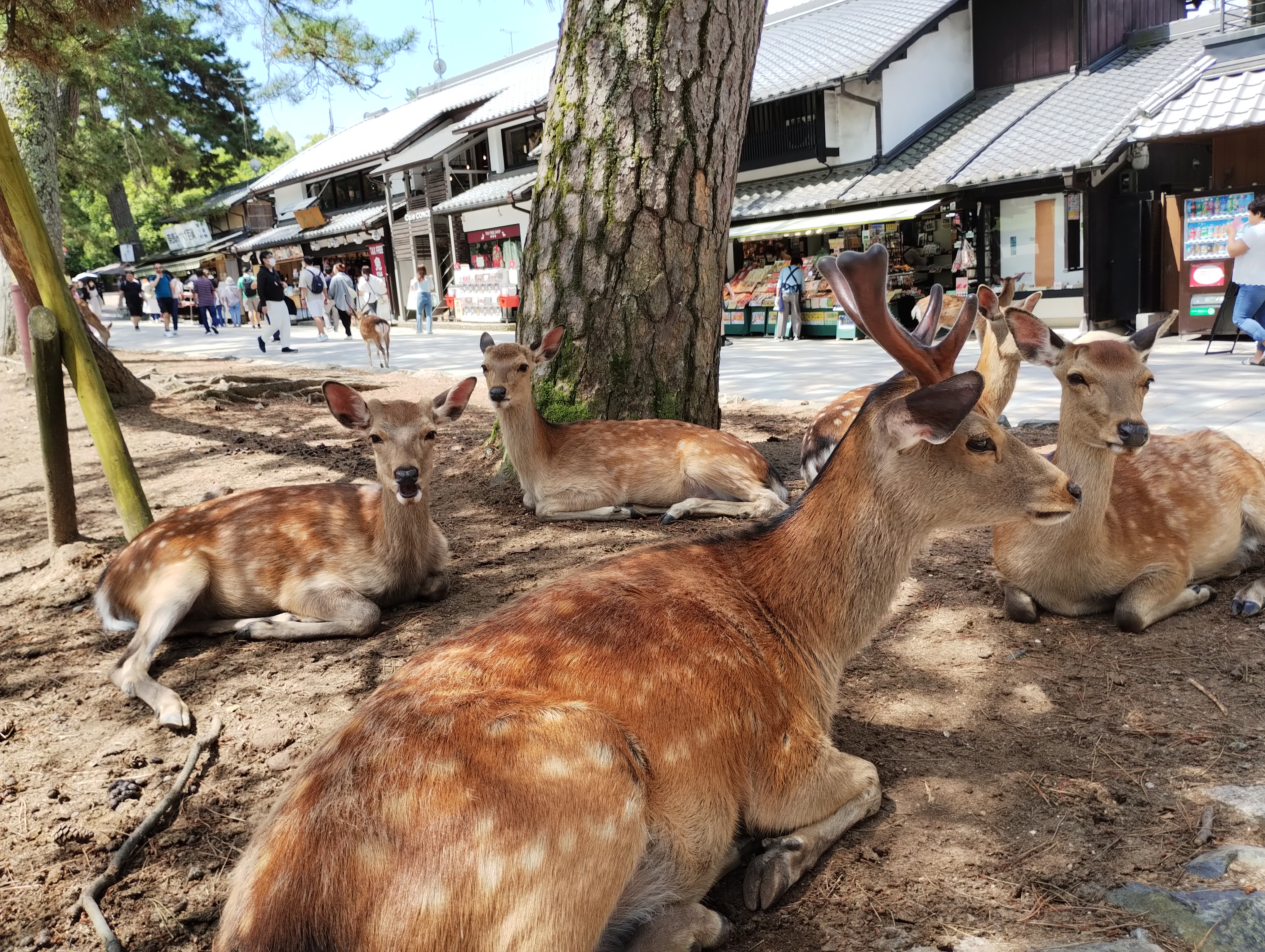 占い師feelのお気に入り写真2